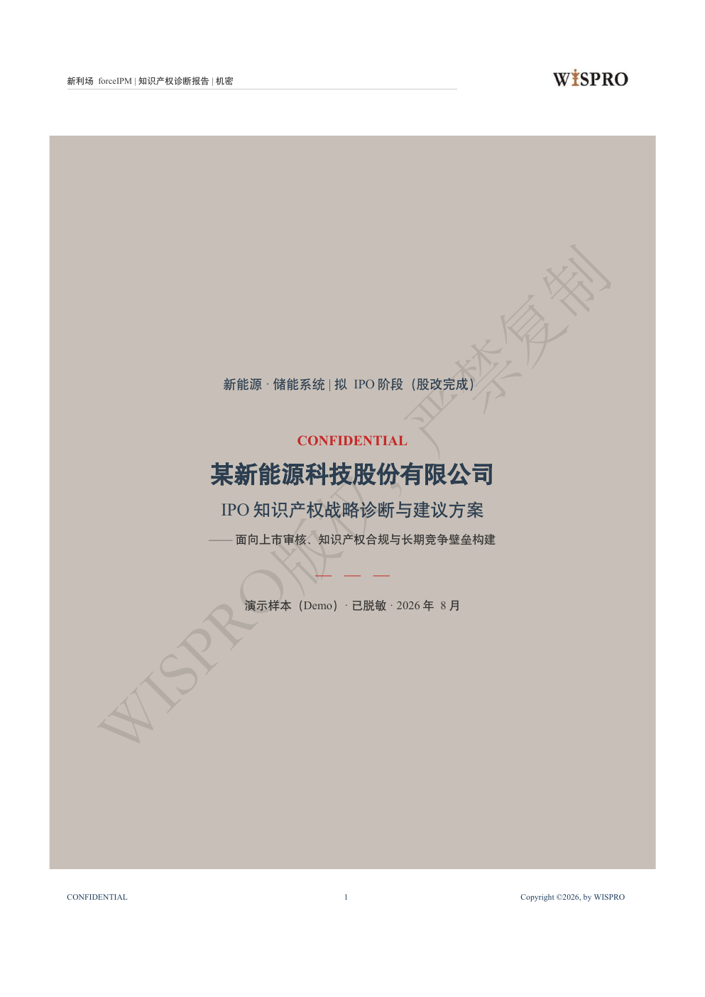 上市知识产权战略诊断示例